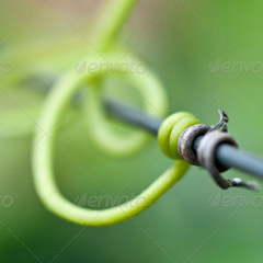 虚拟号码手机号发送平台