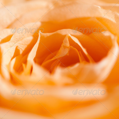 在线电话轰炸测试