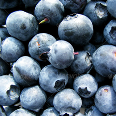 获取短信验证码平台