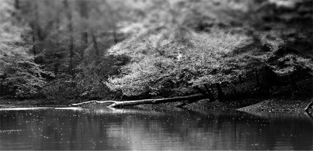 一键故障恢复的智云短信轰炸