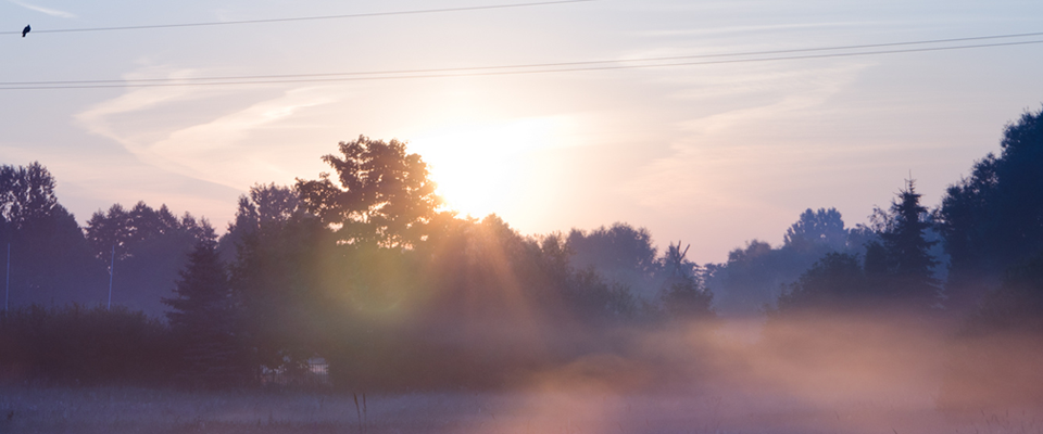 在线电话轰炸测试